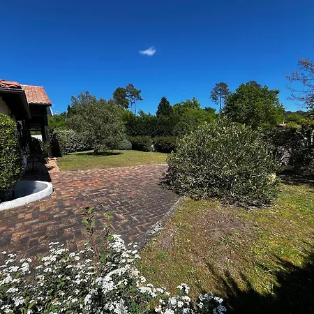 Villa Arbousiers - Conciergerieland Сasa de vacaciones