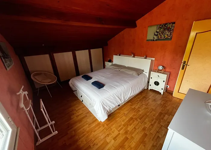 Arbousiers - Conciergerieland *